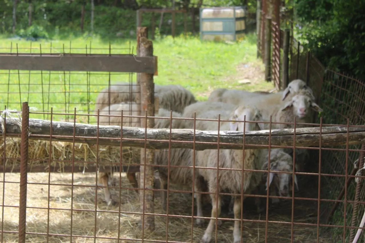 B&B Podere Lambure- Societa Agricola Popiglio