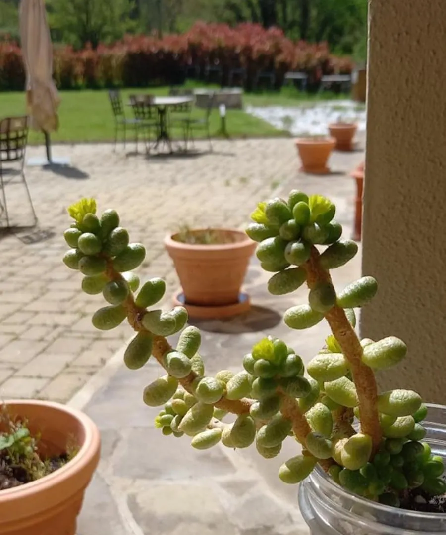 Farm stay B&B Podere Lambure- Societa Agricola Popiglio Italy